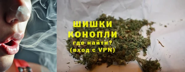 сатива Богданович